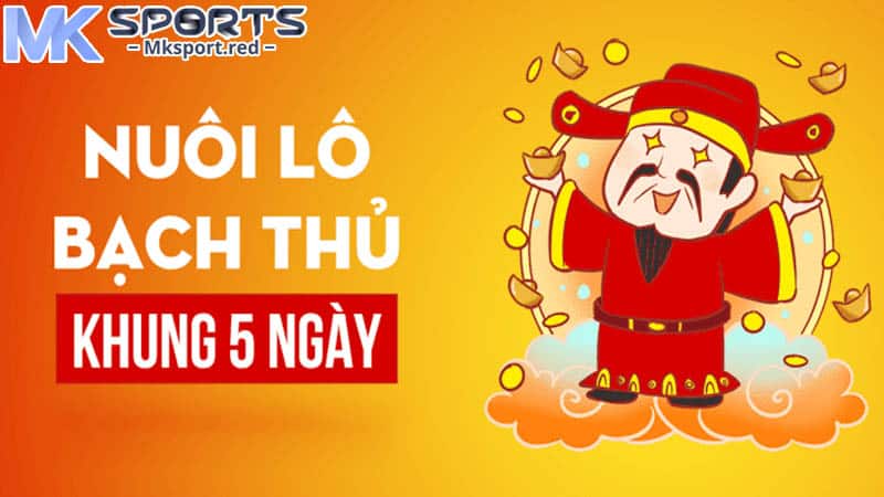 Các khung lô phổ biến hiện nay tại MKsport