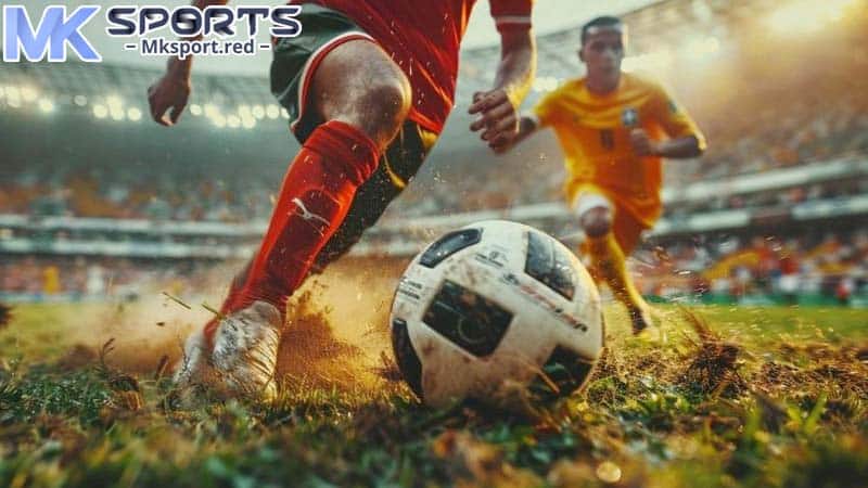 Các thể loại kèo thông dụng tại MKsport