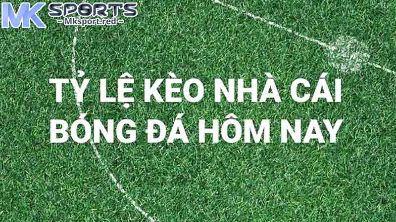 Những phương pháp nhận định kèo nhà cái