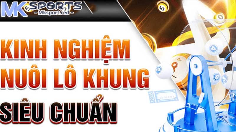 Chia sẻ kinh nghiệm cá cược nuôi lô khung