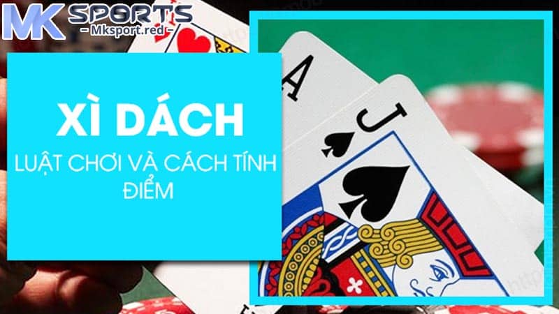 Tìm hiểu chi tiết cách chơi bài xì dách