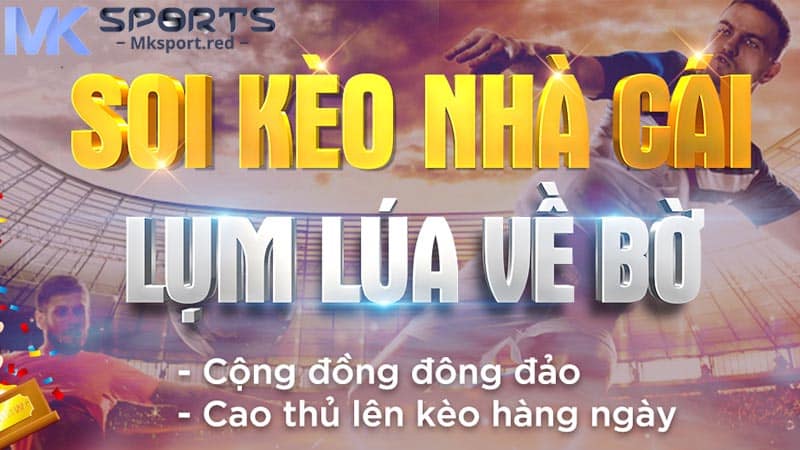 Tìm hiểu khái niệm soi kèo nhà cái