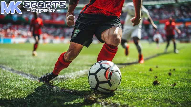 Bí quyết soi kèo bóng đá dành cho thành viên MKsport