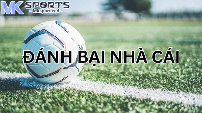 Các căn cứ dùng để soi kèo tại nhà cái MKsport