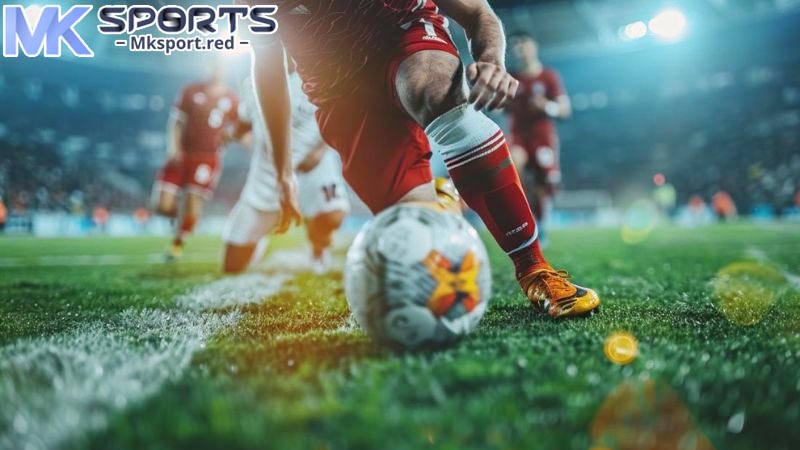 Cách đọc kèo bóng đá tại trang web MKsport