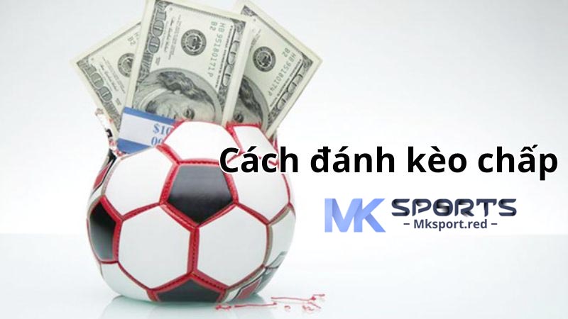 Một số sai lầm cược thủ MKsport thường mắc phải