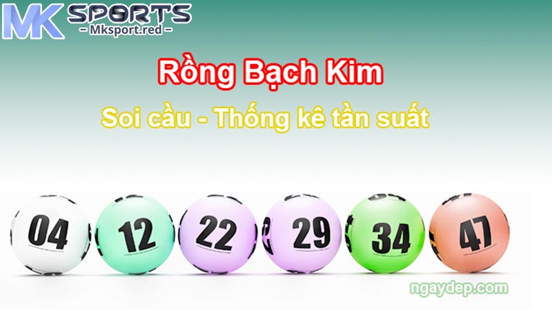 Tìm hiểu phương pháp soi cầu Rồng bạch kim